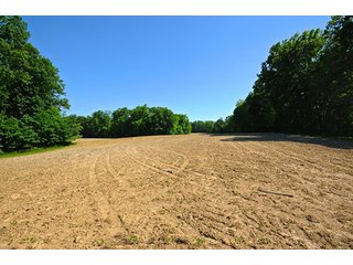 Property photo 84 - LAND AUCTION - 604+/- ACRES OFFERED IN 24 TRACTS IN MORGAN COUNTY, INDIANA
